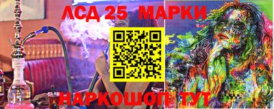 индика Бийск