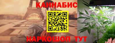 индика Бийск