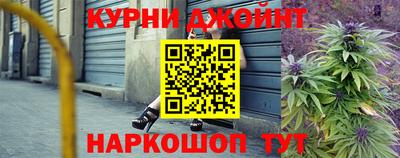 индика Бийск