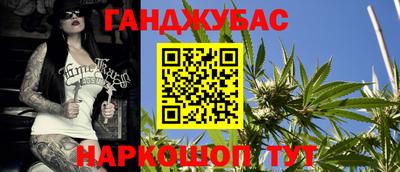 индика Бийск