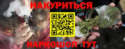 индика Бийск