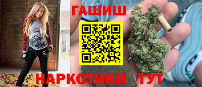индика Бийск