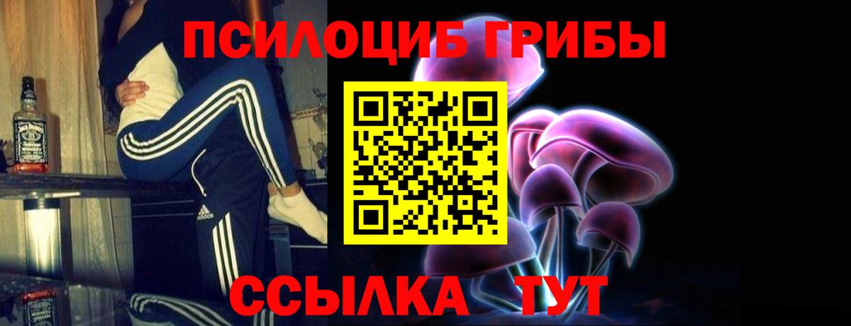 Галлюциногенные грибы Magic Shrooms Камышлов