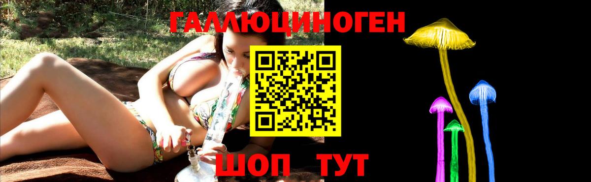 Галлюциногенные грибы GOLDEN TEACHER  Вход с VPN  Псилоцибиновые грибы мухоморы  Камышлов 